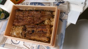 うなぎ、食べましたか??